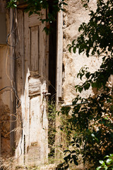 KAS, TURKEY Detail of overgrown woodwork.