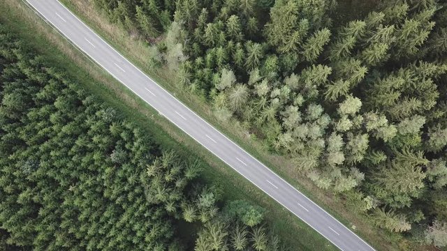 Aerial view of a road in the middle of the forest.