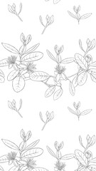 Pattern, background with with feijoa flowers