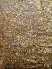 The texture of the door in the old house