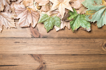 Autumn leaves on wooden boards.