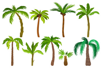 Flat vector set of palm trees. Plants of tropical forest. Landscape elements for mobile game. Nature theme