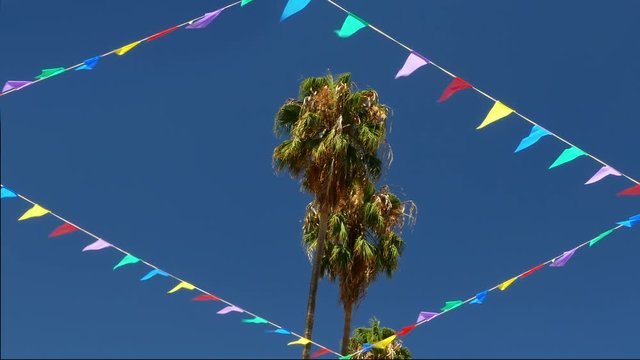 Palm trees surrounded by pennants.
Multi colored bunting and palms moved for the wind, symbol of tropical party and fun.