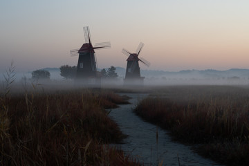 Sea of cloud and grass in field