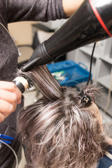 Styling female hair dryer