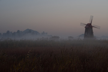 Sea of cloud and grass in field