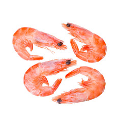 Group of fresh red boiled cooked shrimps isolated on white background