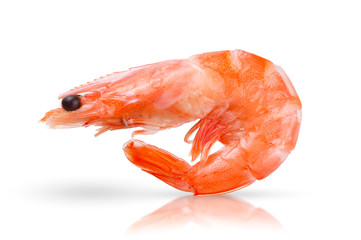 One tasty fresh red boiled cooked shrimp isolated on white background