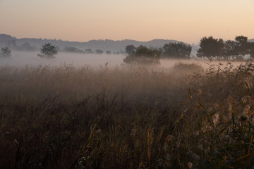 Sea of cloud and grass in field