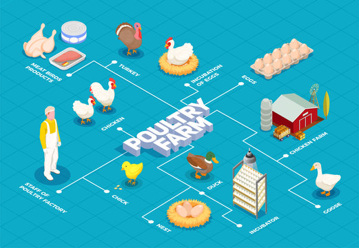 Poultry Farm Isometric Flowchart