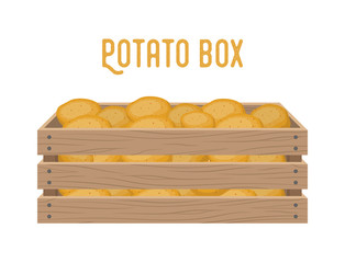 Vector box with potato, grocery basket with garden products