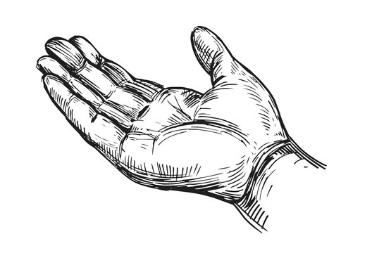 Sketch of hand. Vector illustration