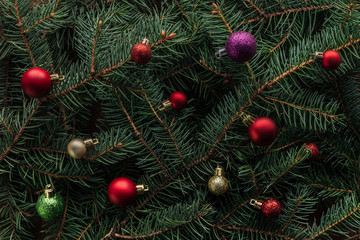 full frame of colorful christmas toys on green pine tree branches