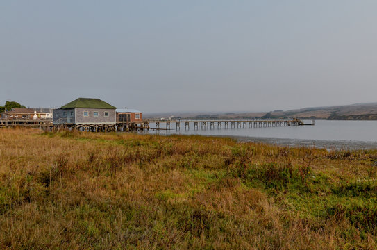 long wooden pier in Tomales Bay Inverness, Marin County, California