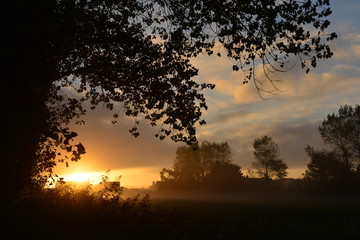 Autumn sunrise, Jersey, U.K.
Rural landscape.
