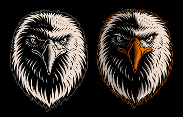 Vector illustration of white head eagle