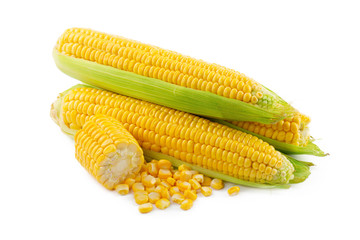 Corn on a white background