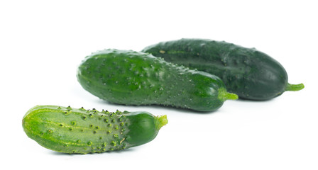 cucumber isolated on white