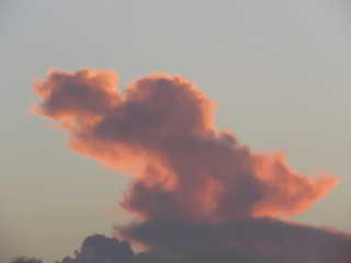 Big Red Bird Sunrise Cloud Formation in Skyscape