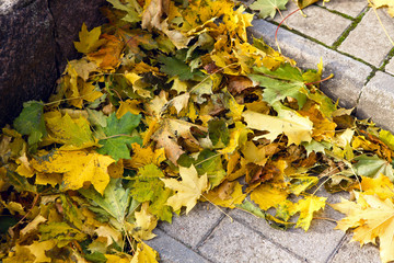stone staircase with yellow and orange leaves