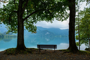 Wooden bench by the lake and blue sky next to the trees