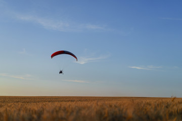  paraglider flying in the sky