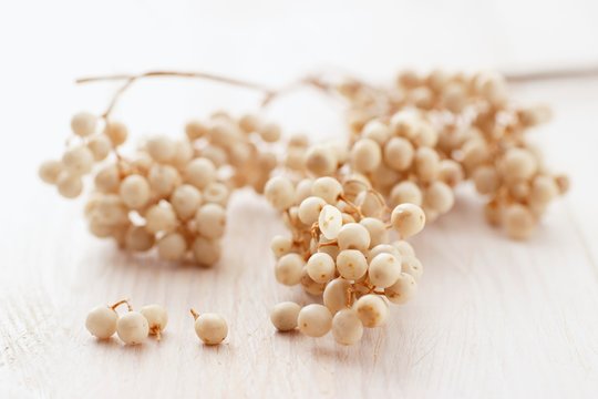 White peppercorns on the vine