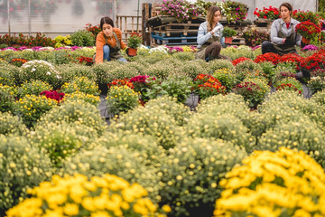 Working in garden center