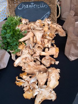 Chanterelle mushrooms at a farmers market