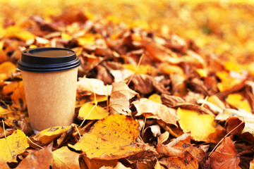 A cup of coffee take away with yellow fallen leaves background