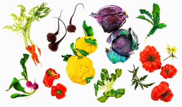 Various vegetables on a white surface (seen from above)