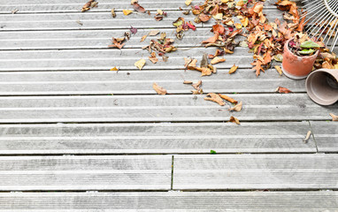  dry leaves on the floor of a wooden terrace in autumn
