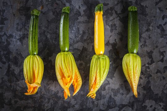 A row of courgette flowers (seen from above)