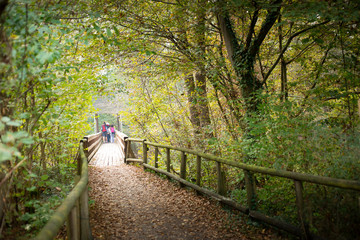 Fototapeta premium Pedestral bridge in the woods in La Fagiana, Parco Ticino, Magenta, Italy.
