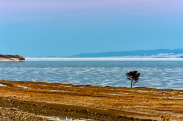 Lonely tree is staying near frozen lake and road with mountain background