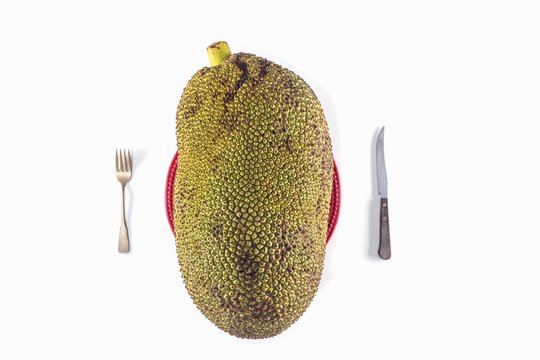 A large jack fruit on a plate with cutlery against a white background (top view)
