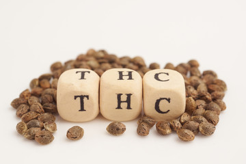 Alphabet cubes with cannabis seeds on white background THC