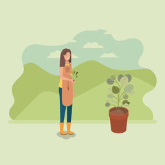 woman planting tree in the park