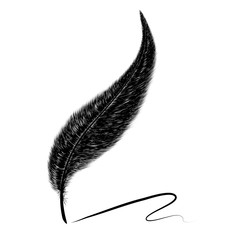 Feather with ink isolated on white background. Black feather ink.