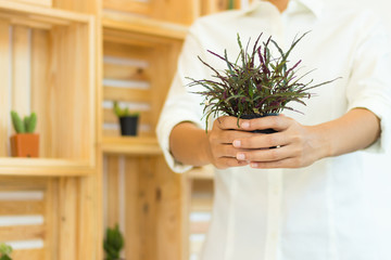 Women holding ornamental plant pots.