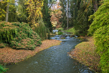 Autumn park landscape with river with riffle, dry leaves, green coniferous trees, yellow, brown, orange colors