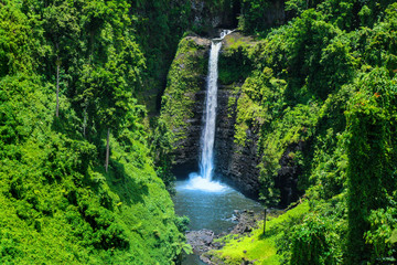 Fototapeta na wymiar Stunning view of wild jungle waterfall with pristine water, Sopoaga Tropical Waterfall Samoa close up, Upolu Island, Western Samoa, Oceania
