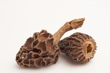 Morel mushrooms on white background macro