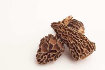 Morel mushrooms on white background macro