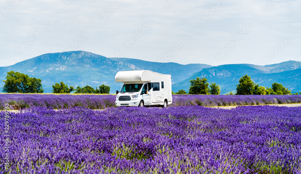 Wall mural motorhome in a lavender field in provence, france