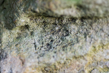 Gray stone texture closeup