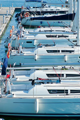 Yachts moored in harbor