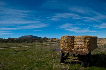 Agricultural trailer with straw bales