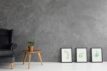 Dark blue velvet armchair next to small wooden coffee table with plant in pot and leaf graphics in black frames, real photo with copy space on concrete walls