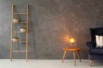 Scandinavian ladder with plants in stylish pots next to small coffee table with modern lamp and...